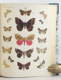 Lepidopteren von Madagascar. Neue und weig bekannte Arten zumeist aus der Sammlung der Senckenberg’schen naturforschenden Gesellschaft zu Frankfurt am Main, 2 Parts, complete (bound in one volume).