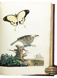 Nouvelles Illustrations de Zoologie; New Illustrations of Zoology, containing fifty coloured plates of new, curious, and non-descript Birds, with a few Quadrupeds, Reptiles and Insects