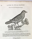 L'Histoire de la Nature des Oyseaux, avec Leuers Descriptions, & Naifs Portraicts Retirez du Naturel, 7 Parts complete, bound in one volume