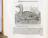 L'Histoire de la Nature des Oyseaux, avec Leuers Descriptions, & Naifs Portraicts Retirez du Naturel, 7 Parts complete, bound in one volume