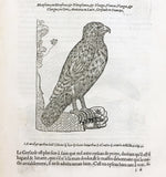 L'Histoire de la Nature des Oyseaux, avec Leuers Descriptions, & Naifs Portraicts Retirez du Naturel, 7 Parts complete, bound in one volume