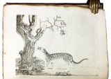 Nouvelles Illustrations de Zoologie; New Illustrations of Zoology, containing fifty coloured plates of new, curious, and non-descript Birds, with a few Quadrupeds, Reptiles and Insects