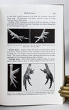 Poultry Breeding