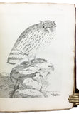 Nouvelles Illustrations de Zoologie; New Illustrations of Zoology, containing fifty coloured plates of new, curious, and non-descript Birds, with a few Quadrupeds, Reptiles and Insects