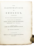 Nouvelles Illustrations de Zoologie; New Illustrations of Zoology, containing fifty coloured plates of new, curious, and non-descript Birds, with a few Quadrupeds, Reptiles and Insects