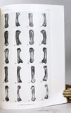 Fossil Metacarpals from Swartkrans
