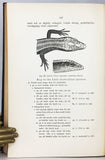 The Reptiles of the Indo-Australian Archipelago, volume I: Lacertilia, Chelonia, Emydosauria + volume II: Ophidia, 2 volumes, complete