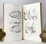Archaeological Data (Vietnamese Studies no. 46)
