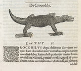 Libri de Piscibus Marinis, in quibus verae Piscium effigies expressae sunt + Universae aquatilium Historiae pars altera, cum veris ipsorum Imaginibus, two volumes in one (in late 19 century polished calf)