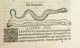Libri de Piscibus Marinis, in quibus verae Piscium effigies expressae sunt + Universae aquatilium Historiae pars altera, cum veris ipsorum Imaginibus, two volumes in one (in late 19 century polished calf)