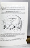 Morphologie Evolutive de la tete et du cou chez l'homme et les grands singes actuels: Application aux hominides fossils. I: Ensembles Anatomiques Cervicaux