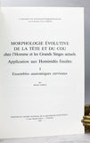 Morphologie Evolutive de la tete et du cou chez l'homme et les grands singes actuels: Application aux hominides fossils. I: Ensembles Anatomiques Cervicaux