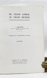 Du Crane Animal Au Crane Humain