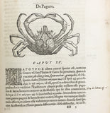 Libri de Piscibus Marinis, in quibus verae Piscium effigies expressae sunt + Universae aquatilium Historiae pars altera, cum veris ipsorum Imaginibus, two volumes in one (in late 19 century polished calf)