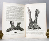 Omo Research Expedition, five papers from the journal Quaternaria on geology, vertebrate fossils and hominins from the Omo Basin, Ethiopia