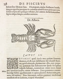 Libri de Piscibus Marinis, in quibus verae Piscium effigies expressae sunt + Universae aquatilium Historiae pars altera, cum veris ipsorum Imaginibus, two volumes in one (in late 19 century polished calf)