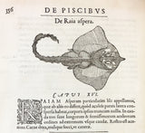 Libri de Piscibus Marinis, in quibus verae Piscium effigies expressae sunt + Universae aquatilium Historiae pars altera, cum veris ipsorum Imaginibus, two volumes in one (in late 19 century polished calf)