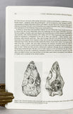 Humanity from African Naissance to Coming Millennia: Colloquia in Human Biology and Paleoanthropology