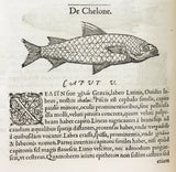 Libri de Piscibus Marinis, in quibus verae Piscium effigies expressae sunt + Universae aquatilium Historiae pars altera, cum veris ipsorum Imaginibus, two volumes in one (in late 19 century polished calf)