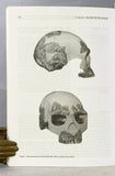 Humanity from African Naissance to Coming Millennia: Colloquia in Human Biology and Paleoanthropology