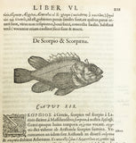 Libri de Piscibus Marinis, in quibus verae Piscium effigies expressae sunt + Universae aquatilium Historiae pars altera, cum veris ipsorum Imaginibus, two volumes in one (in late 19 century polished calf)