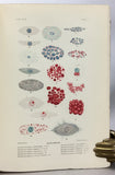 Harriman Alaska Expedition, 1901-1914, complete in 13 volumes