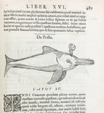 Libri de Piscibus Marinis, in quibus verae Piscium effigies expressae sunt + Universae aquatilium Historiae pars altera, cum veris ipsorum Imaginibus, two volumes in one (in late 19 century polished calf)