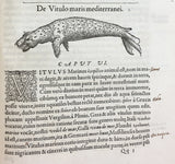 Libri de Piscibus Marinis, in quibus verae Piscium effigies expressae sunt + Universae aquatilium Historiae pars altera, cum veris ipsorum Imaginibus, two volumes in one (in late 19 century polished calf)