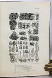 Harriman Alaska Expedition, 1901-1914, complete in 13 volumes