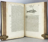 Libri de Piscibus Marinis, in quibus verae Piscium effigies expressae sunt + Universae aquatilium Historiae pars altera, cum veris ipsorum Imaginibus, two volumes in one (in late 19 century polished calf)