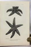 Harriman Alaska Expedition, 1901-1914, complete in 13 volumes