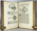Libri de Piscibus Marinis, in quibus verae Piscium effigies expressae sunt + Universae aquatilium Historiae pars altera, cum veris ipsorum Imaginibus, two volumes in one (in late 19 century polished calf)