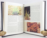 The Genus Haworthia (Liliaceae): A Taxonomic Revision (the Sponsors' edition limited to 27 signed copies lettered A-Z - this is letter "V" signed by the author)