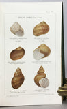 Monograph of the Land and Freshwater Mollusca of the British Isles, in 4 volumes (1894-1924), complete