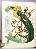 A Second Century of Orchidaceous Plants