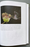 Evolutionary History of Bats: Fossils, Molecules and Morphology