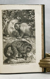 The Naturalist on the River Amazons. A record of adventures, habits of animals, sketches of Brazilian and Indian life, and aspects of nature under the Equator, during eleven years of travel