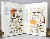 Fungus flora of Venezuela and adjacent countries