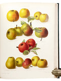 The Herefordshire Pomona, containing figures and descriptions of the most esteemed kinds of Apples and Pears, Volume 2 only with 77 fine chromolithographs colored from Nature by Miss Ellis and Miss Bull