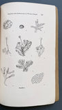 Hepaticae and Anthocerotes of western Oregon