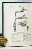 The Various Contrivances by which Orchids are Fertilised by Insects
