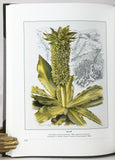 South African Botanical Art: Peeling back the petals (Collector’s edition of 100 numbered copies, this is copy no. 1 presented to ‘The Publisher’ by the author)