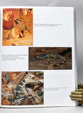 The Natural History of Monitor Lizards