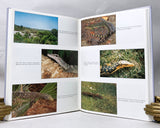The Natural History of Monitor Lizards