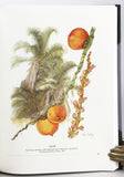South African Botanical Art: Peeling back the petals (Collector’s edition of 100 numbered copies, this is copy no. 1 presented to ‘The Publisher’ by the author)