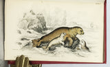 Mammalia: Amphibious Carnivora, including the Walrus and Seals, also of Herbivorous Cetacea + Mammalia: Whales, etc. (The Naturalist's Library, volumes XXV + XXVI), in 2 volumes, complete