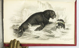 Mammalia: Amphibious Carnivora, including the Walrus and Seals, also of Herbivorous Cetacea + Mammalia: Whales, etc. (The Naturalist's Library, volumes XXV + XXVI), in 2 volumes, complete