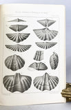 Monographias do Servico Geologico e Mineralogico do Brasil, Volume I: Fosseis Devonianos do Parana