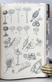 The Mycologic Flora of the Miami Valley, Ohio, in 10 parts, complete