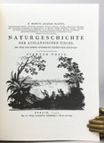 Allgemeine Naturgeschichte der Fische: I. Naturgeschichte der ausländischen Fische, 9 parts in 4 volumes (text) + II. Oeconomische Naturgeschichte der Fische Deutschlands, with 432 fine color plates in 2 volumes (plates)
